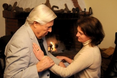 Für "Wyeth-Alzheimerforschung"