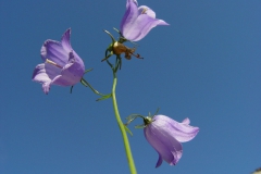 2009129