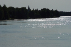2009276