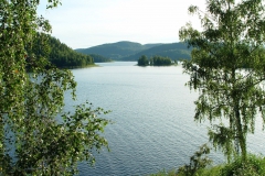 2009278