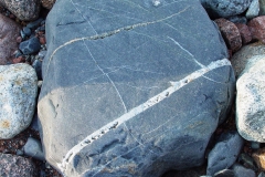 2009291