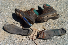2009320