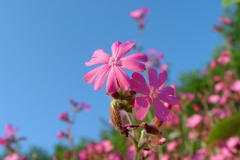 200970